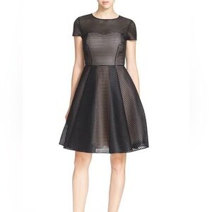 Ted Baker London Sheer Black Mini Dress